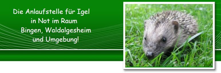 Igel-in-Not